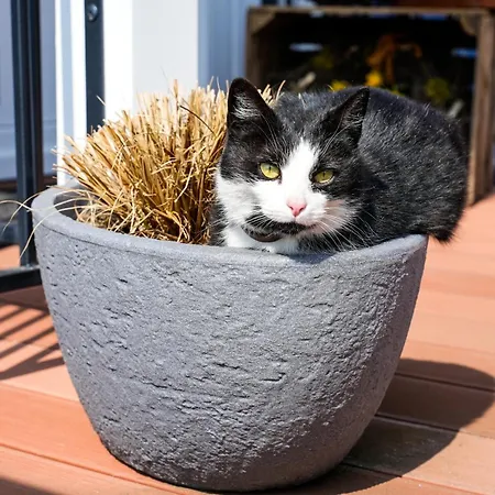 Haus Jaeschke Фечау